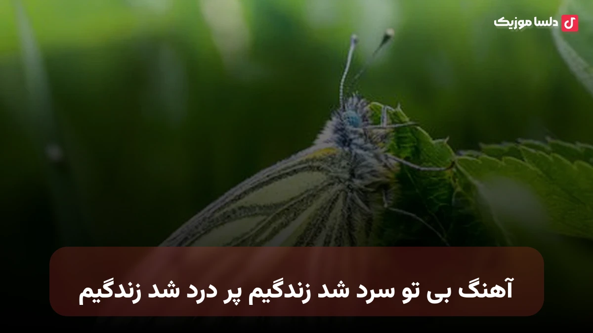  بی تو سرد شد زندگیم پر درد شد زندگیم